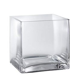 6”H x 6” Glass Cube Vase