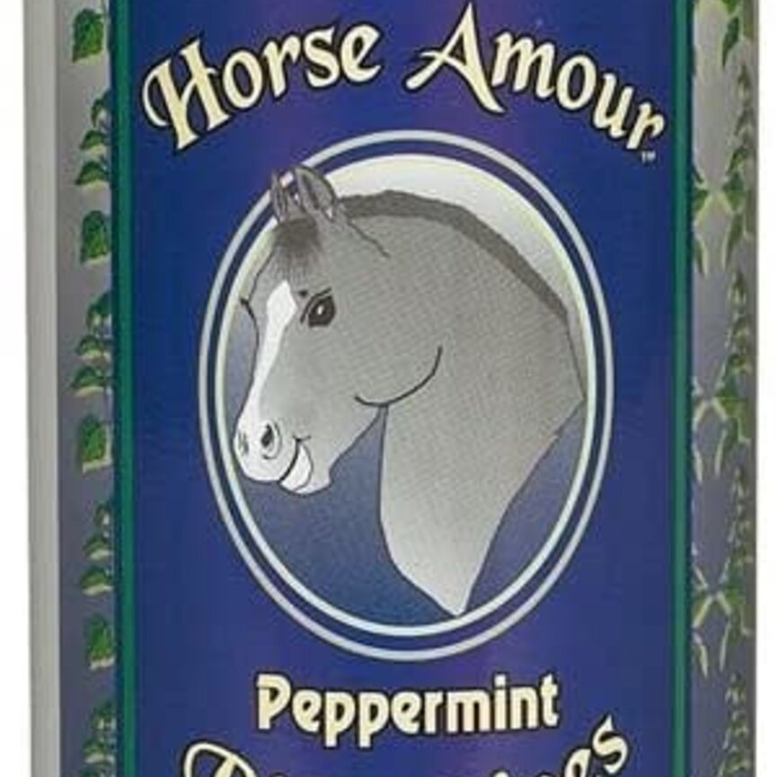 HORSE AMOUR BIT WIPES - PEPPERMINT