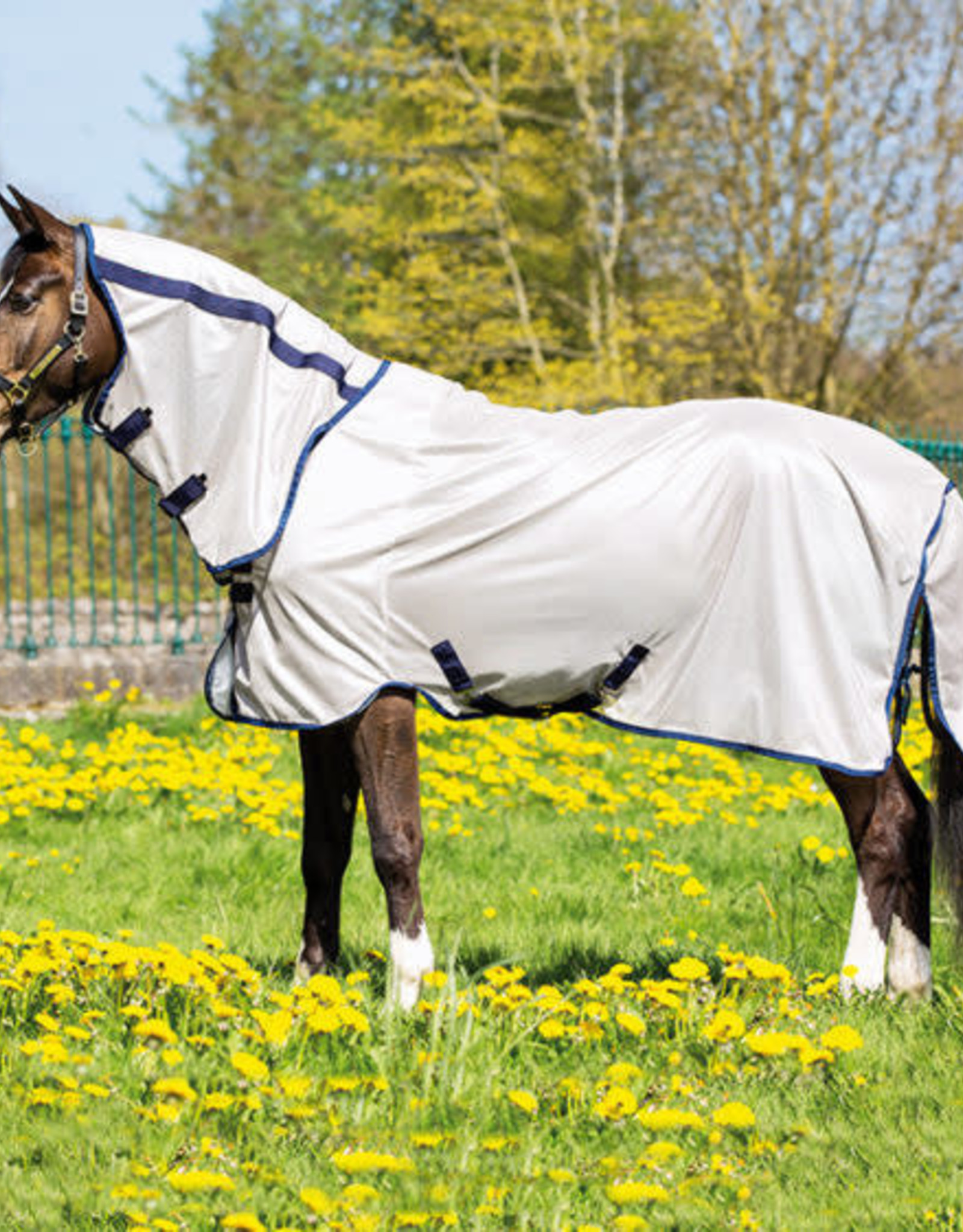 MIO FLY RUG Equine Essentials Tack & Laundry Services