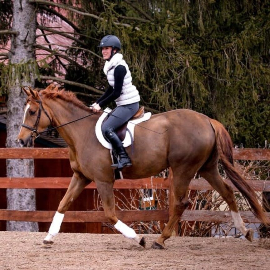 TEDDY SADDLE PAD
