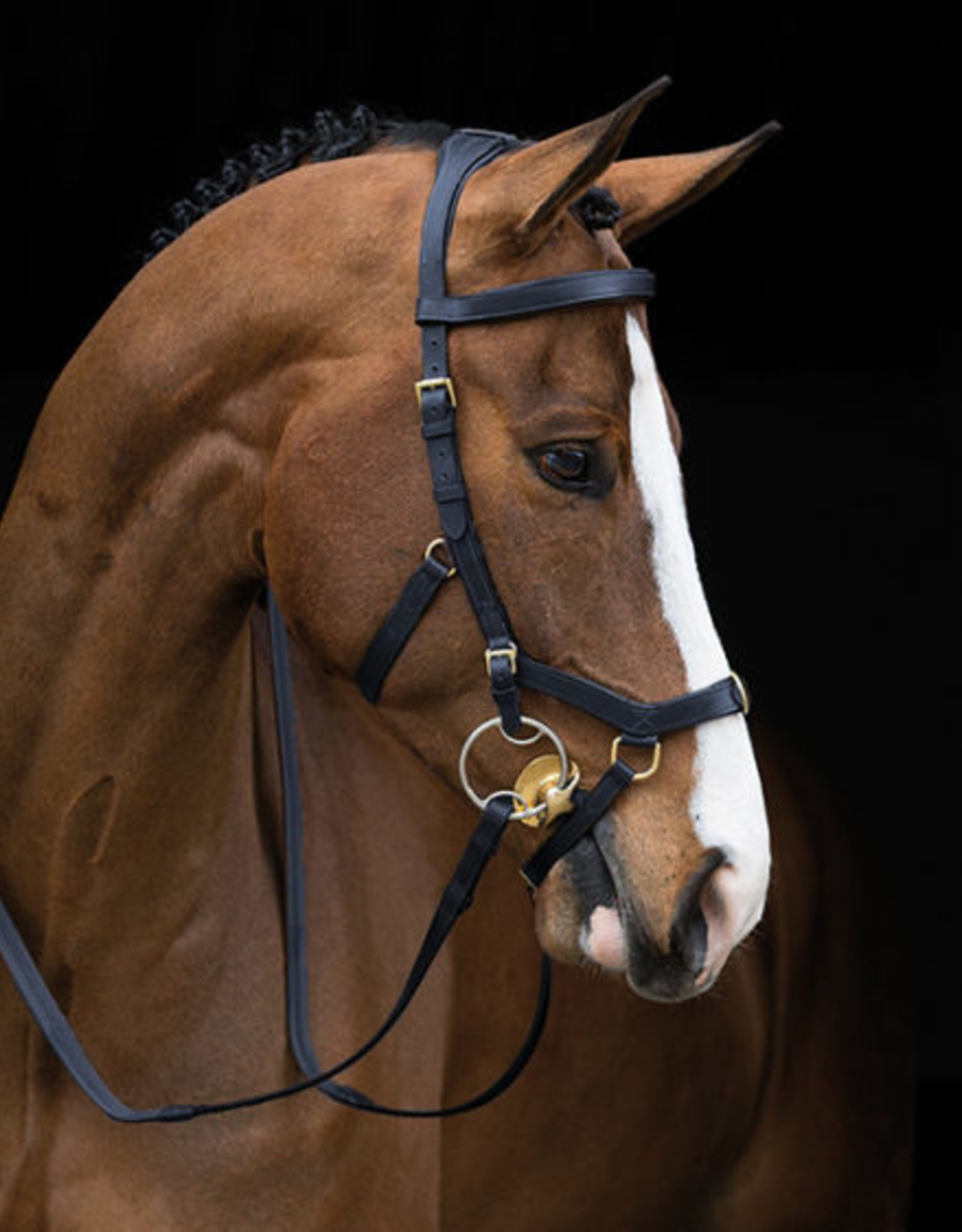 RAMBO MICKLEM MULTI BRIDLE WITH REINS