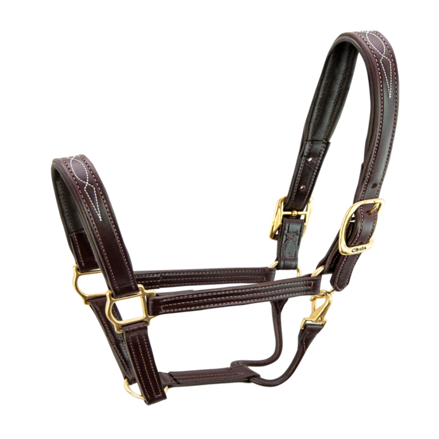 SIGNATURE HALTER