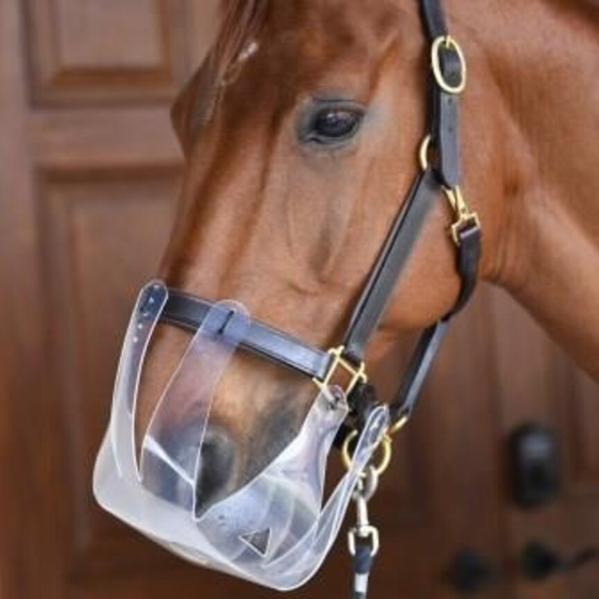 FLEXIBLE FILLY GRAZING MUZZLE