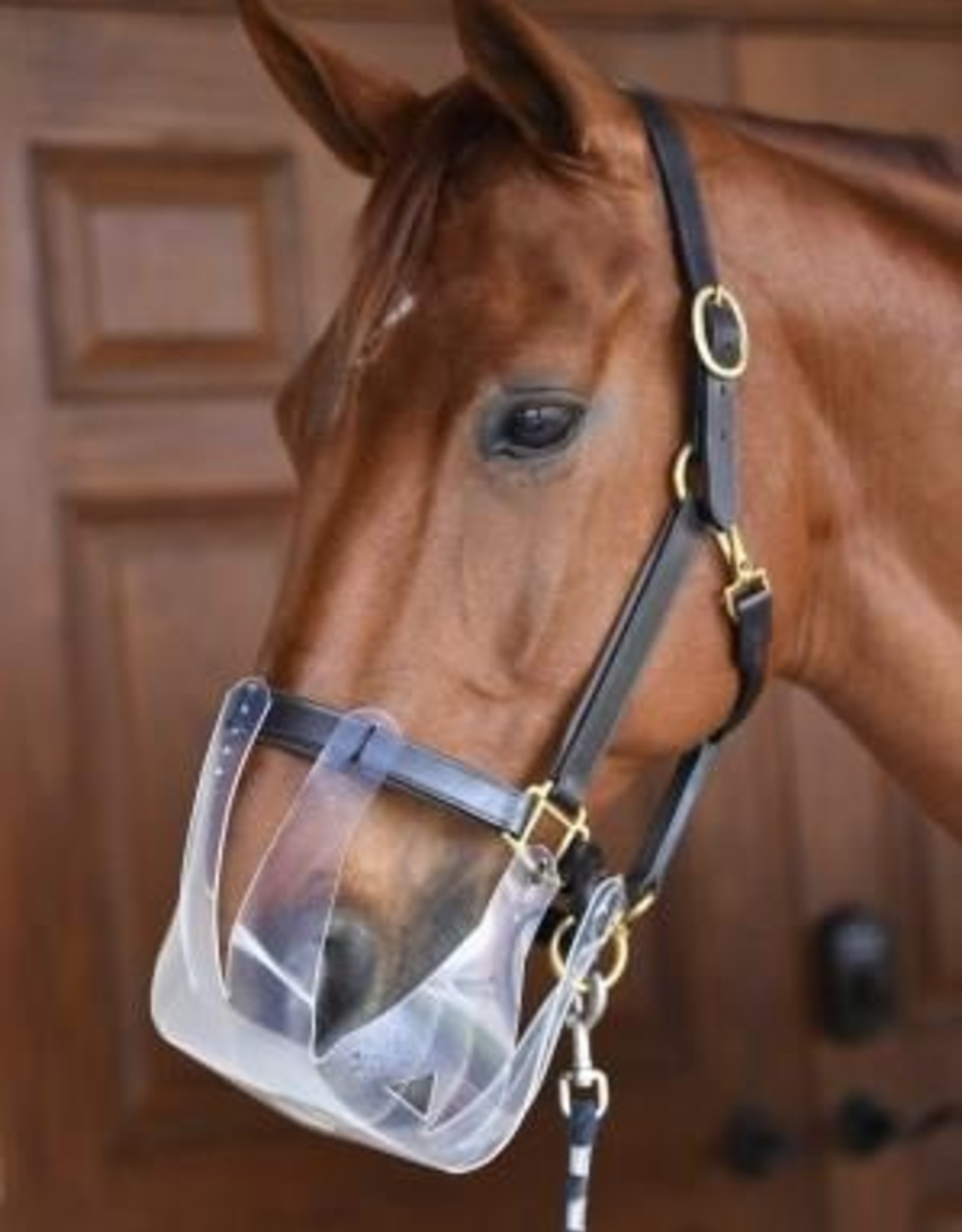 grazing muzzle for horse