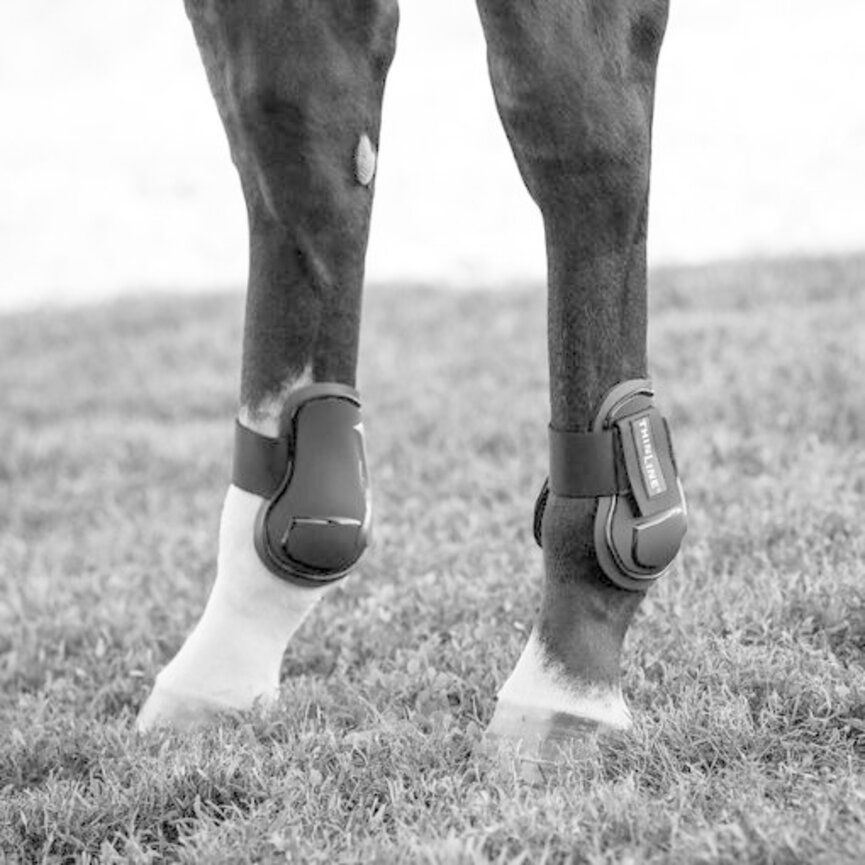 FLEXIBLE FILLY (AIR SHOCK) FETLOCK BOOT