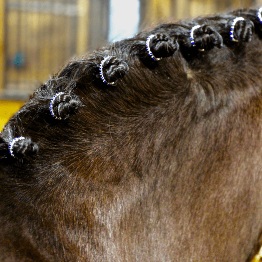 RHINESTONE BRAID BLING