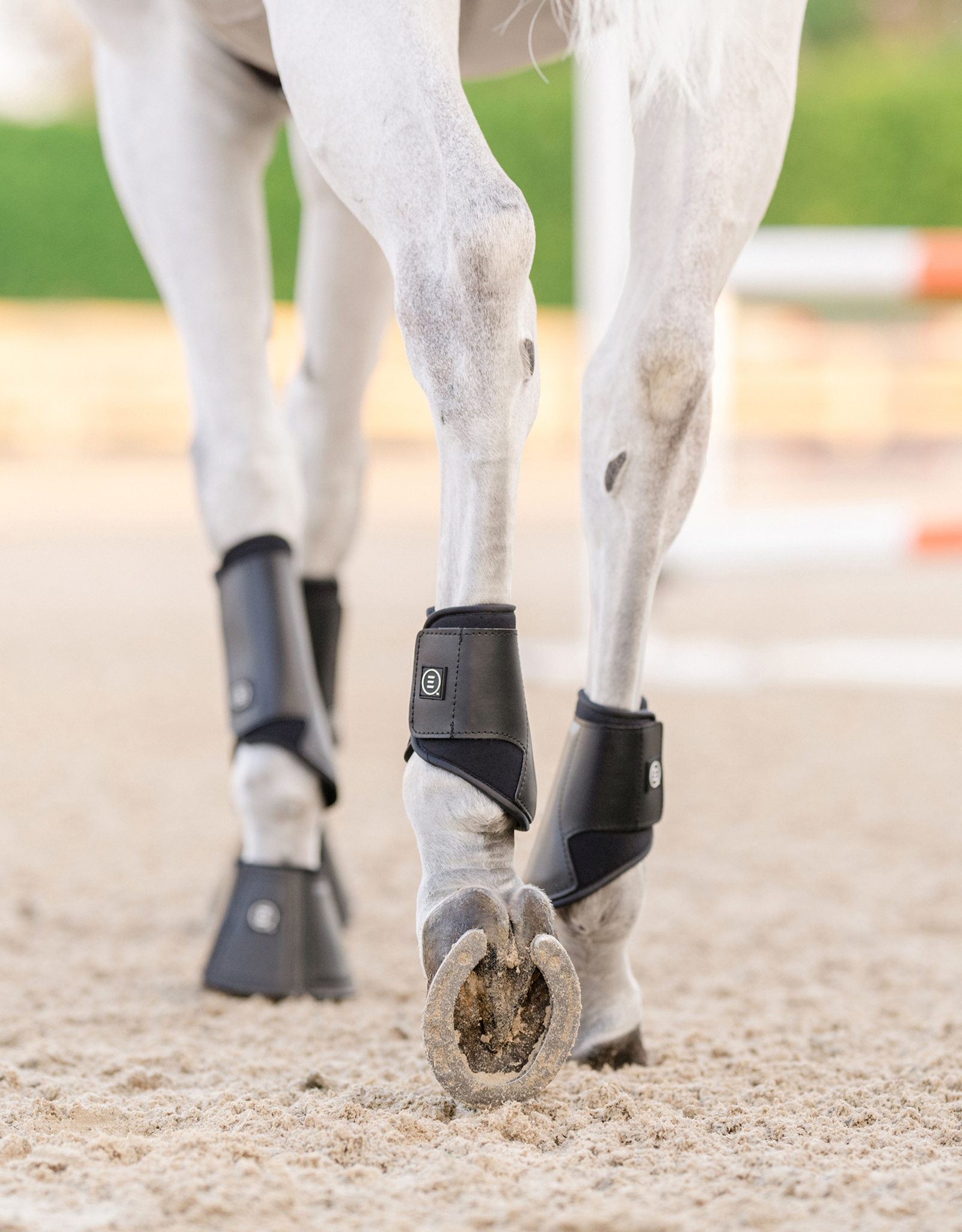 EQUIFIT ESSENTIAL EVERYDAY BOOT - HIND