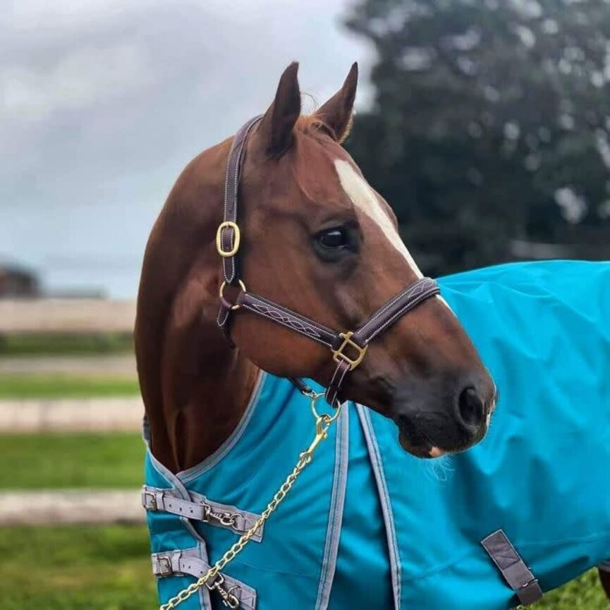 RAISED, FANCY STITCHED LEATHER HALTER