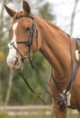 SHIRES FIVE POINT BREASTPLATE