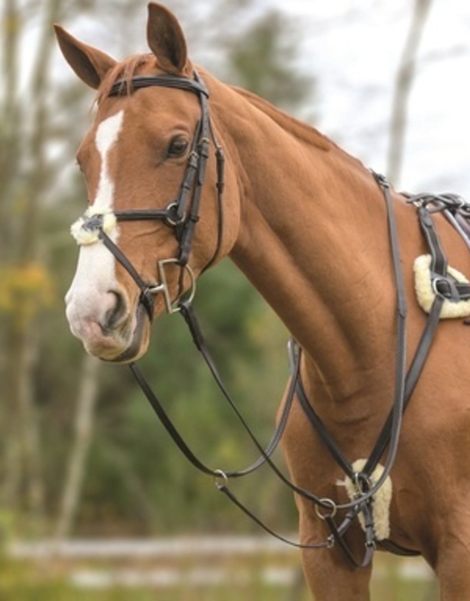 FIVE POINT BREASTPLATE Equine Essentials Tack & Laundry Services