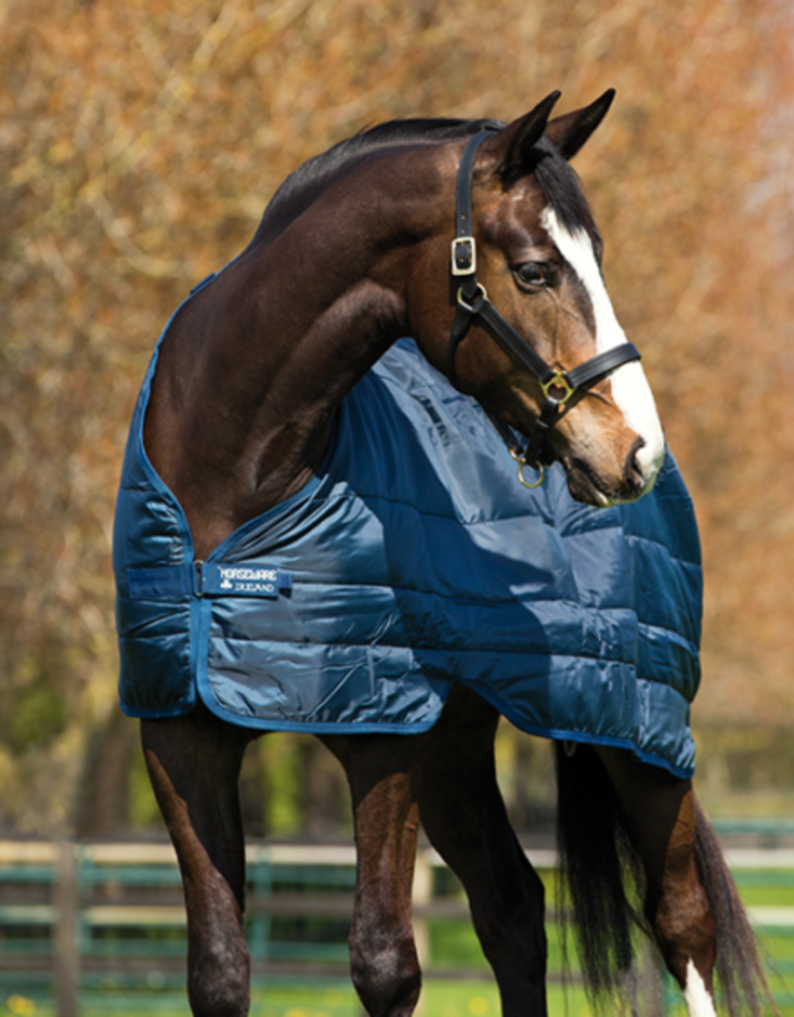 HORSEWARE LINER 200 - Equine Essentials Tack & Laundry Services