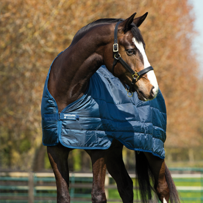 Horseware Liner (200g Medium)