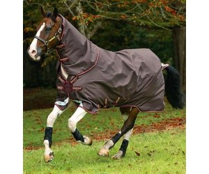 トリートメント amigo AMIGO BRAVO 12 ORIGINAL (DISC FRONT) 0G LITE - Equine Essentials