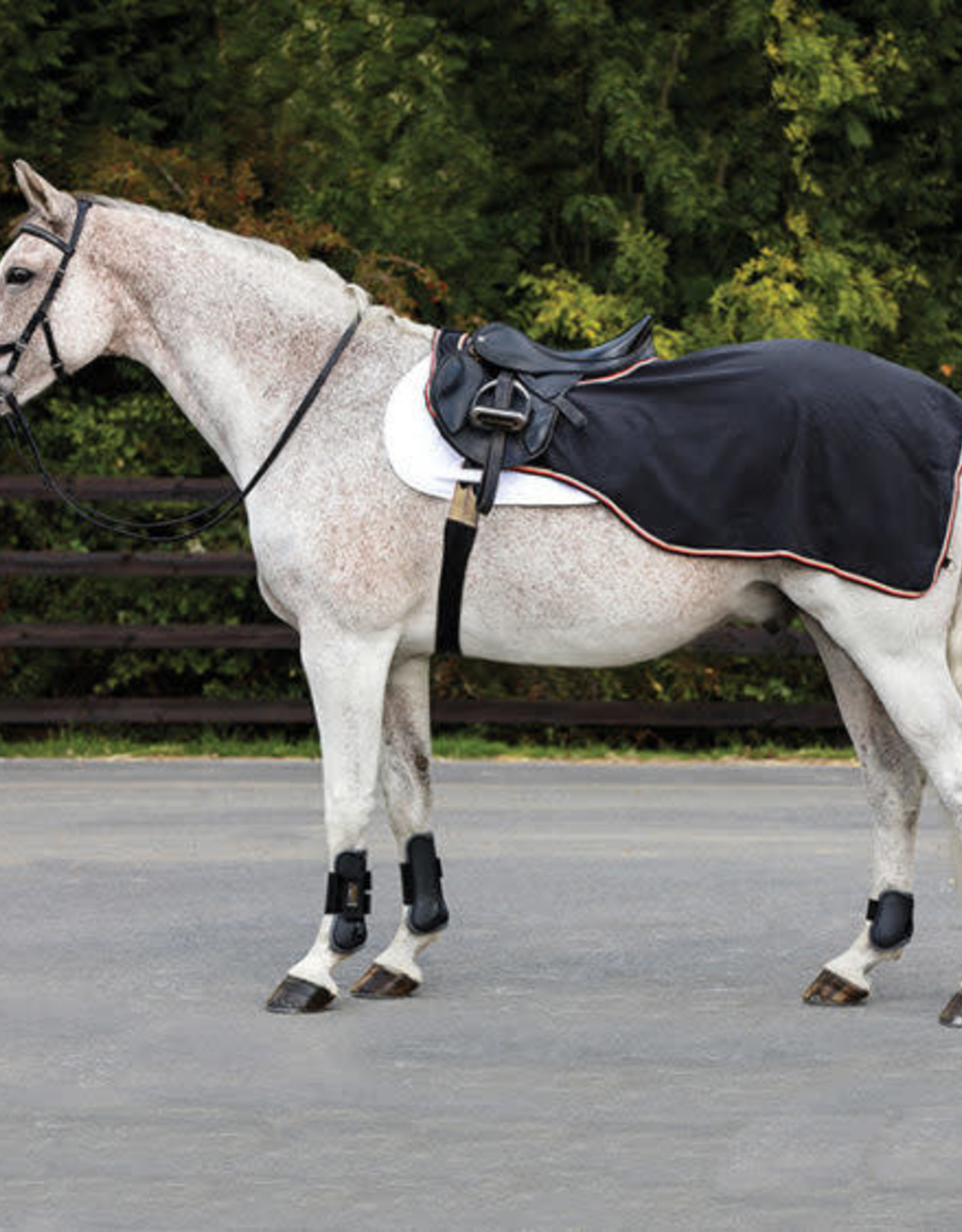 RAMBO WATERPROOF FLEECE COMPETITION SHEET (NO FILL) Equine Essentials