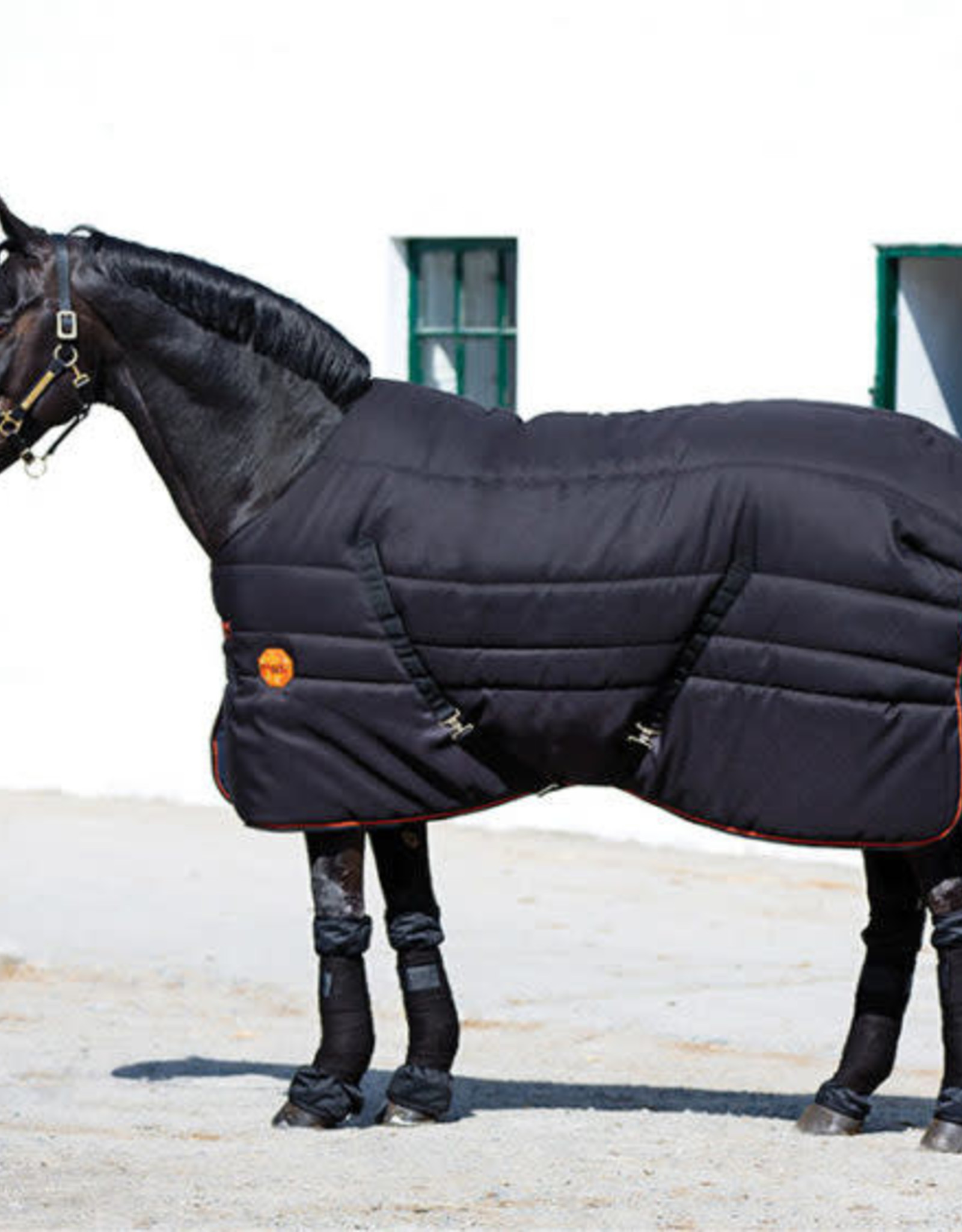 rambo ionic stable boots