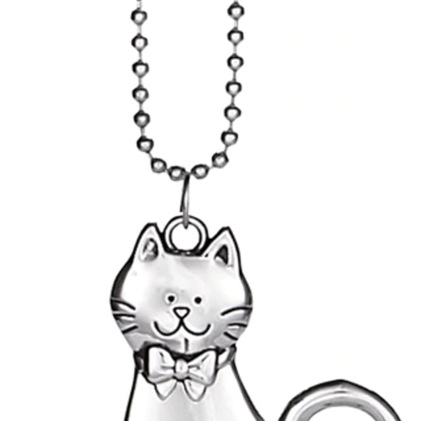 CAR CHARM