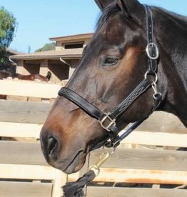 PROFESSIONAL'S CHOICE LEATHER HALTER