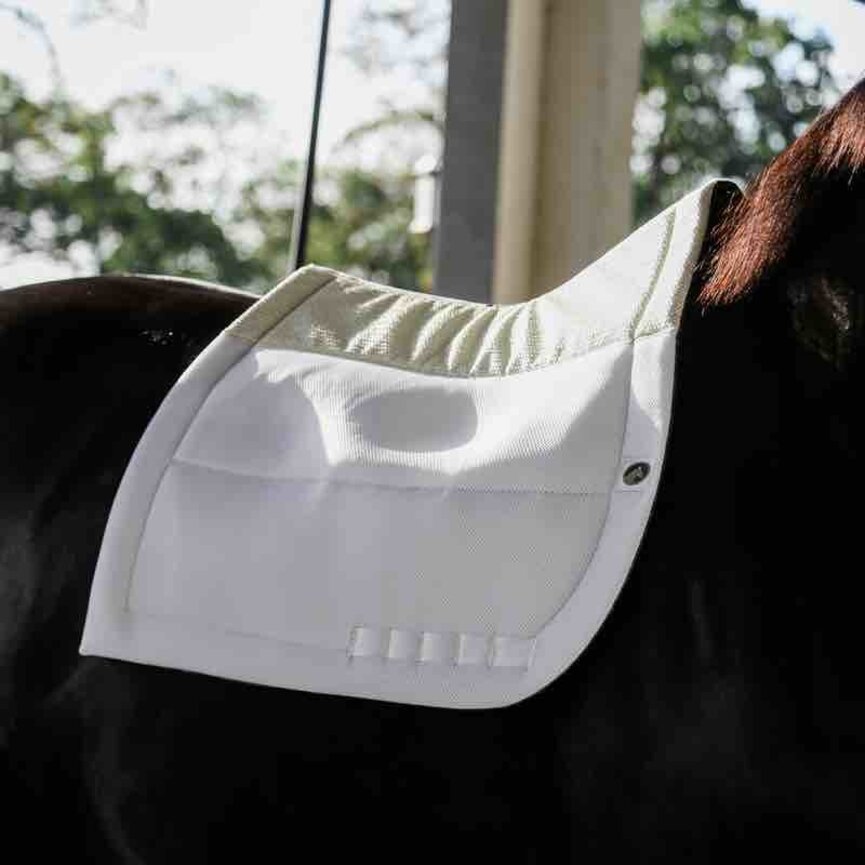 SECURE DRESSAGE SADDLE PAD