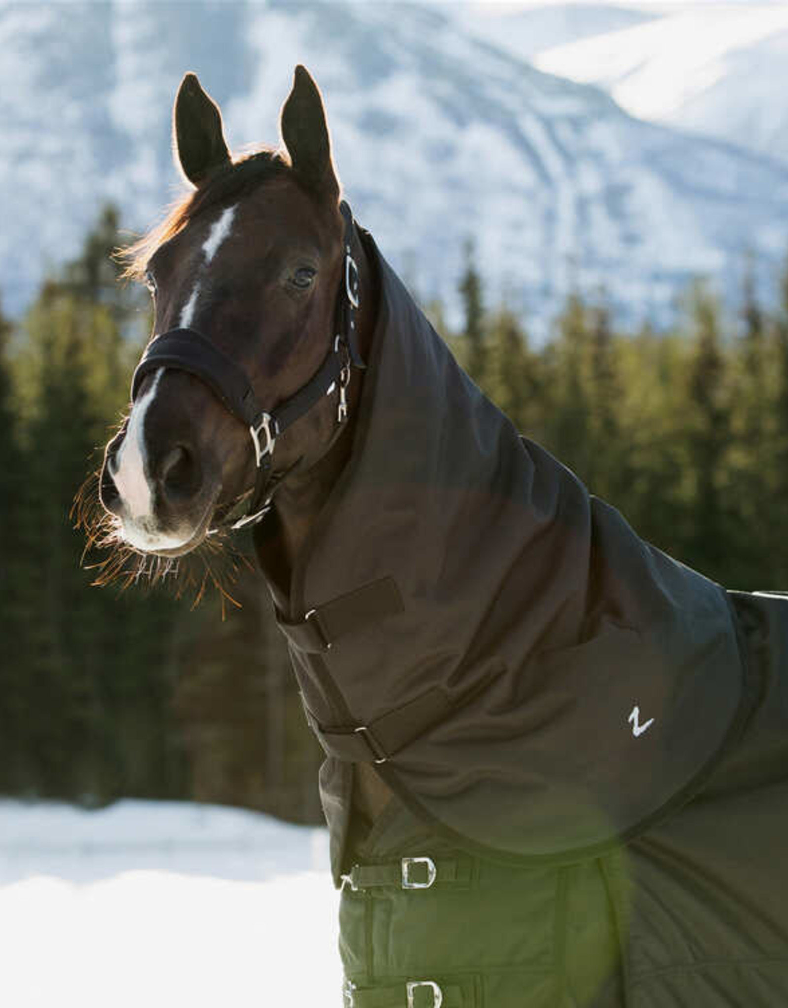 HORZE NEVADA TURNOUT NECK COVER