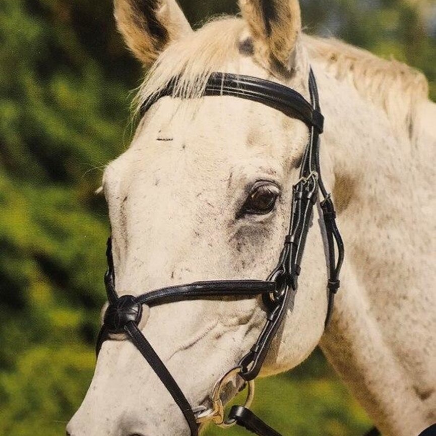 WOODSIDE BRIDLE