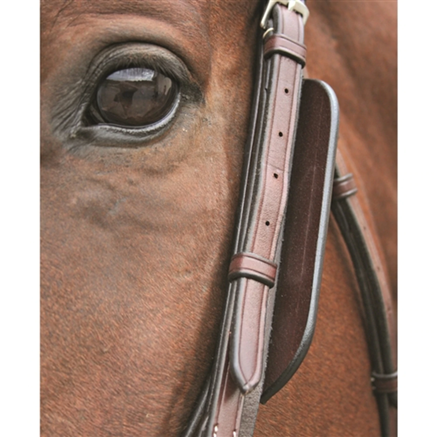 BLINKERS