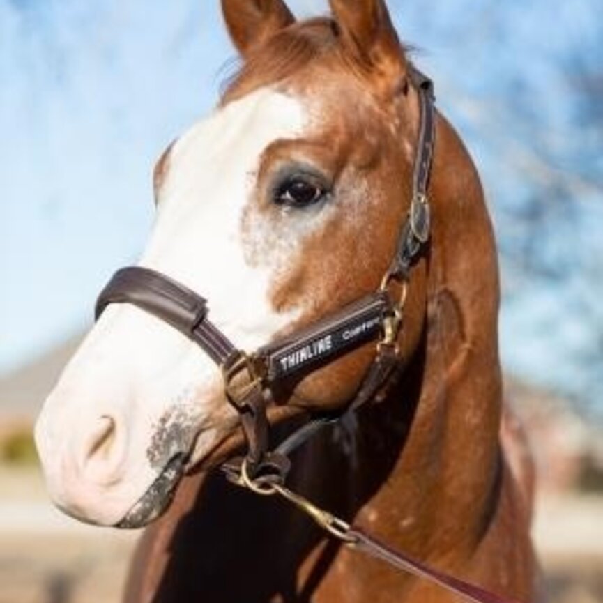 Halter Cheek Liners