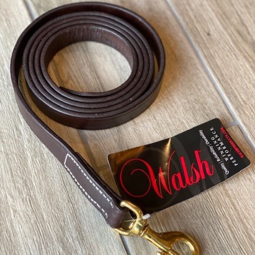 LEATHER LEAD WITH SNAP