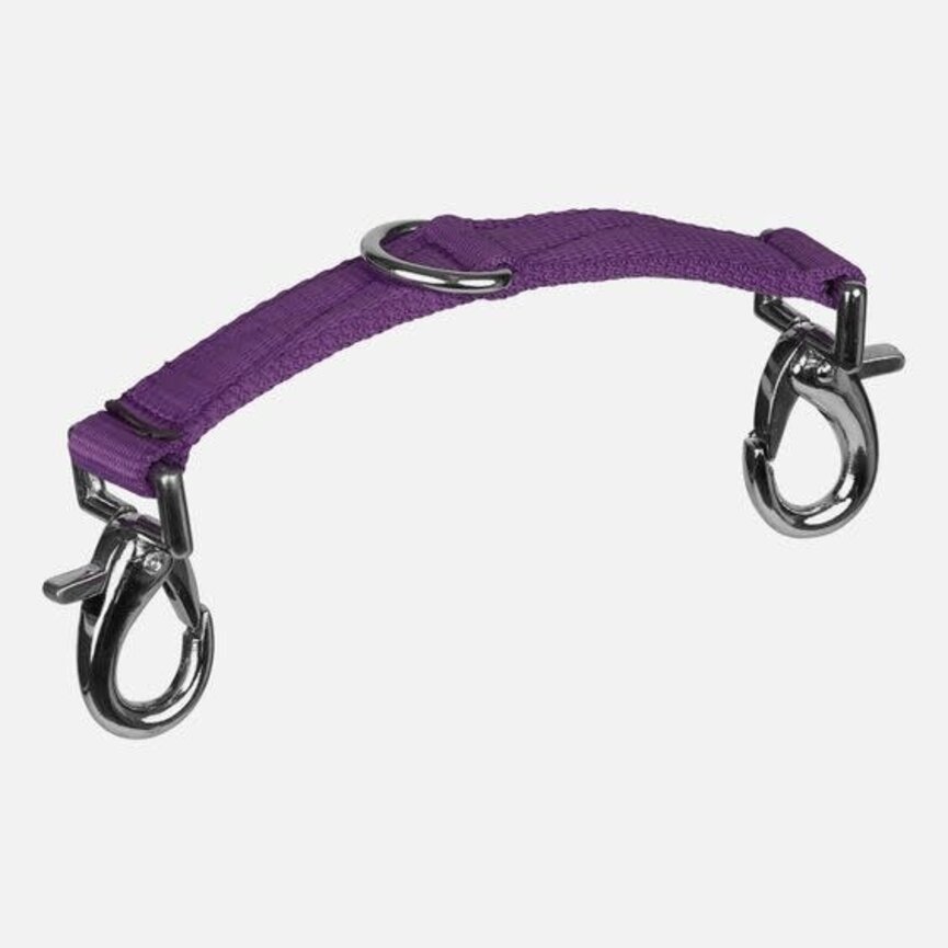 LUNGING ATTACHMENT