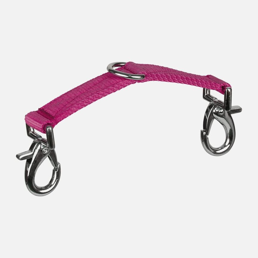 LUNGING ATTACHMENT