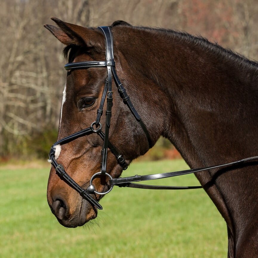 PRO MONO CROWN RAISED FIGURE 8 BRIDLE WITH RUBBER GRIP REINS