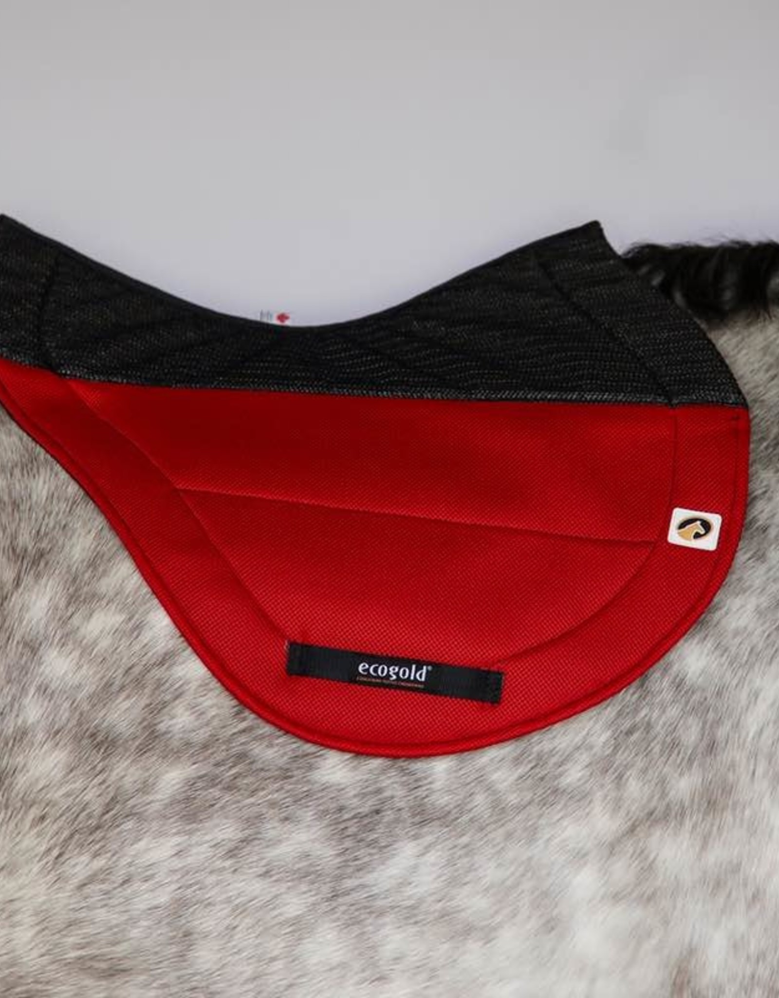 SECURE XC SADDLE PAD Equine Essentials Tack & Laundry Services
