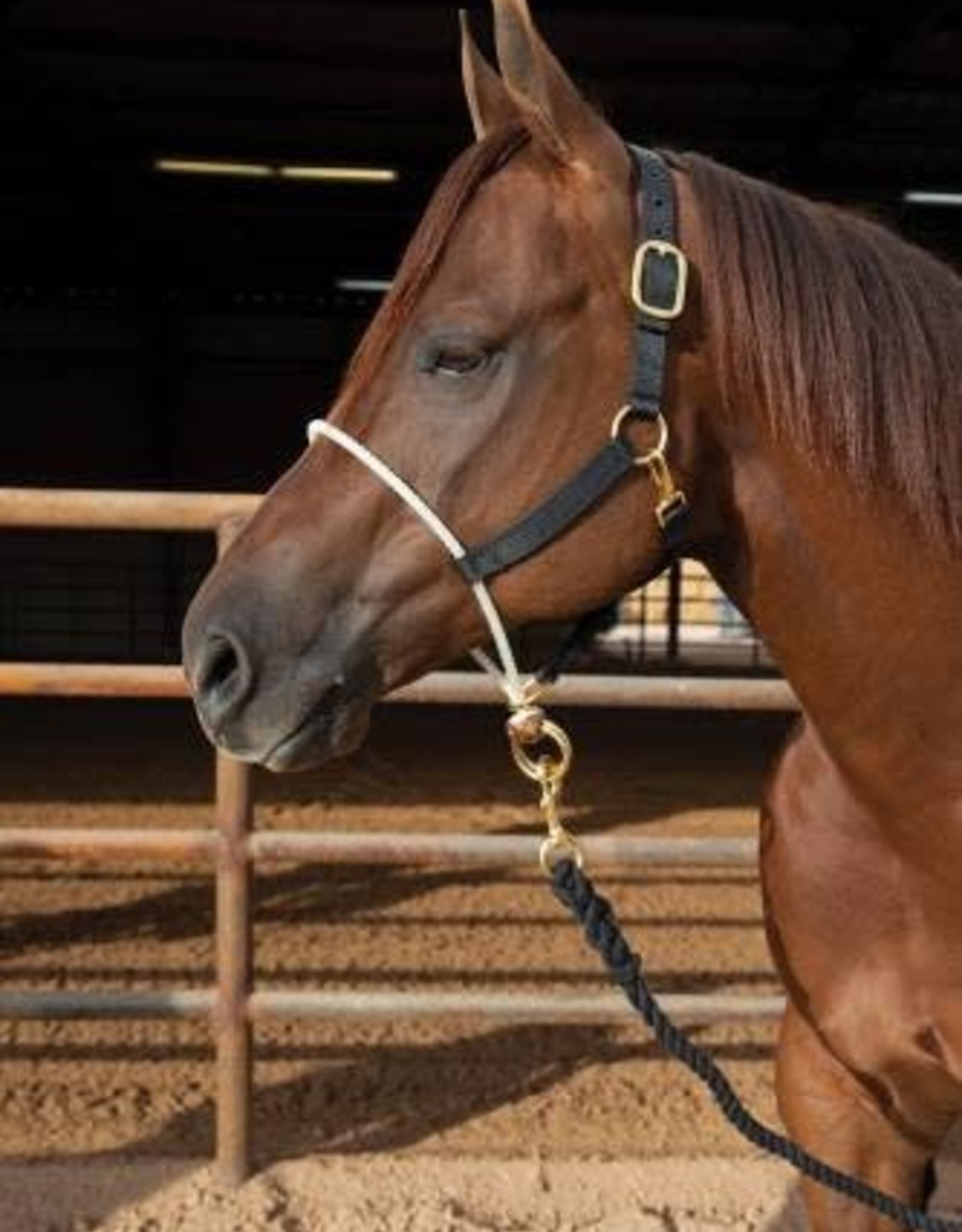 ROPE NOSE NYLON HALTER Equine Essentials Tack & Laundry Services