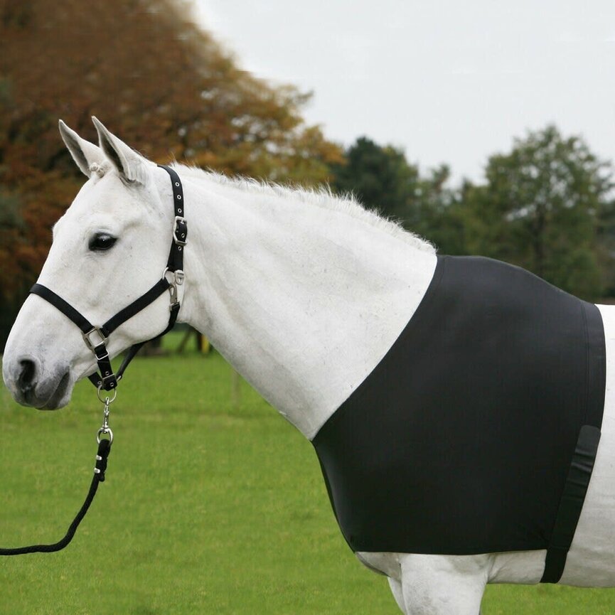 SHOULDER GUARD
