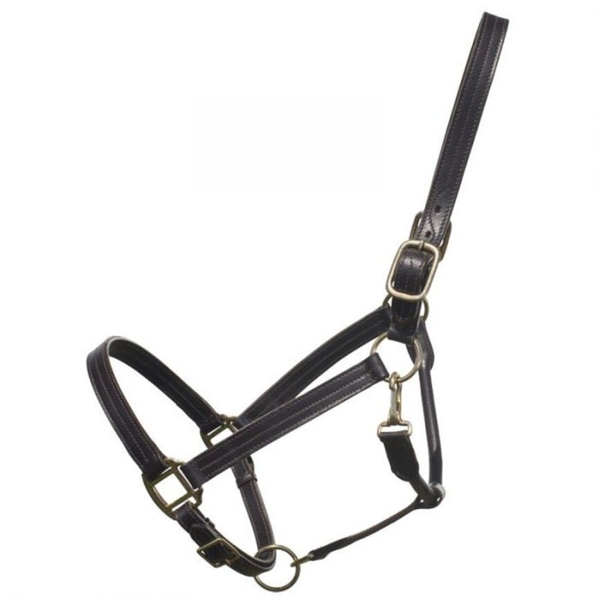 LEATHER HALTER