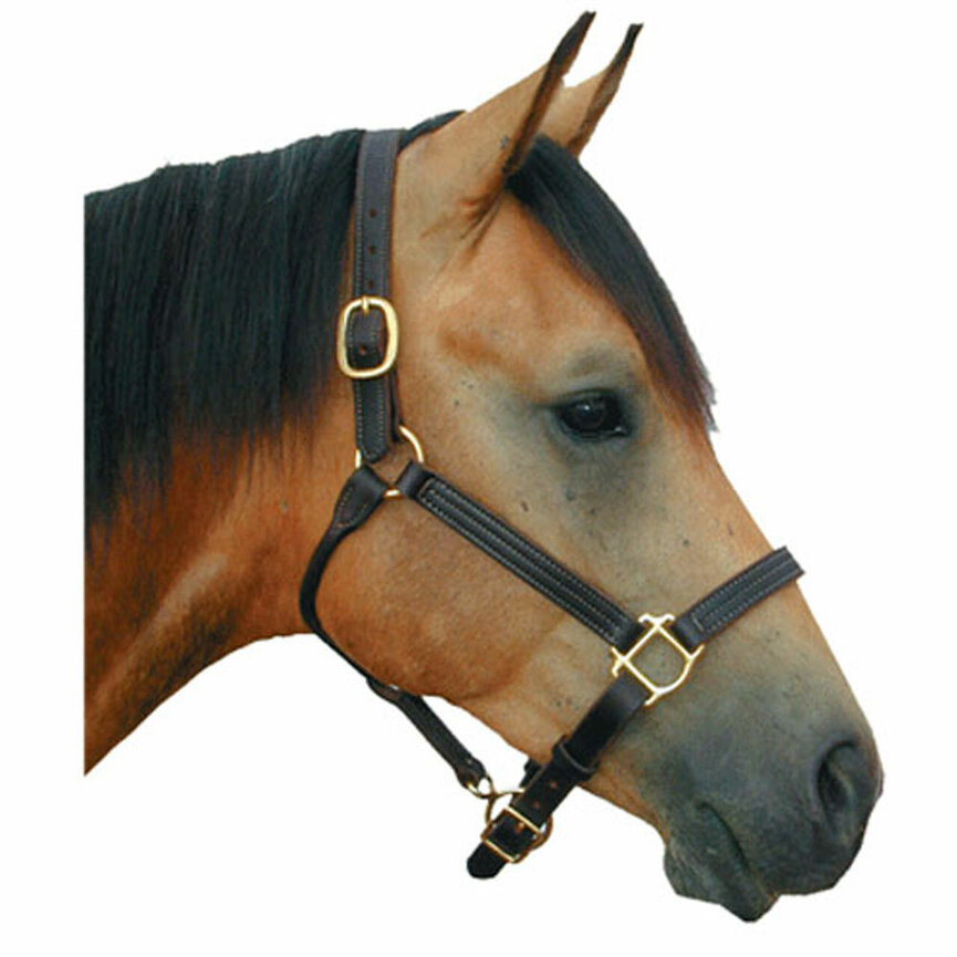 DELUXE 1" TRIPLE STITCHED LEATHER HALTER