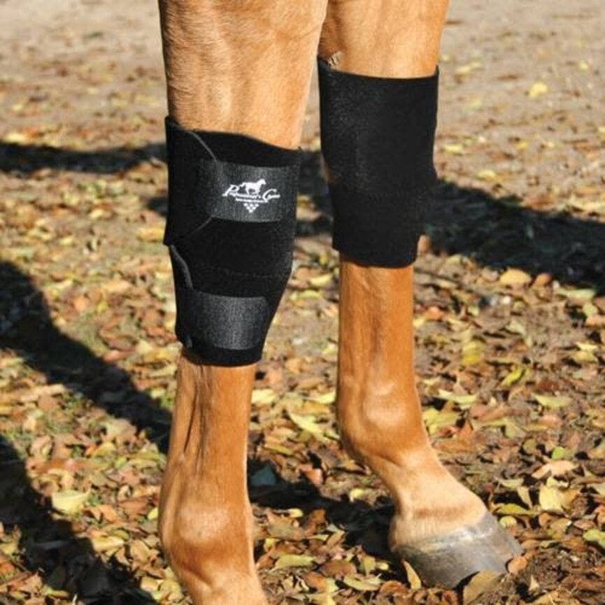 EQUINE KNEE BOOTS