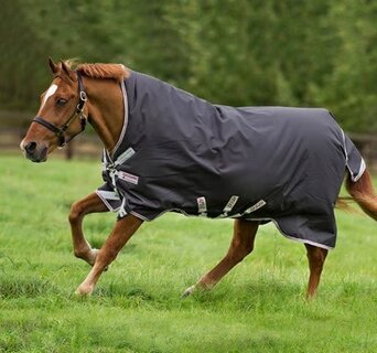 HW AVEEN TECH TOP - Equine Essentials Tack & Laundry Services