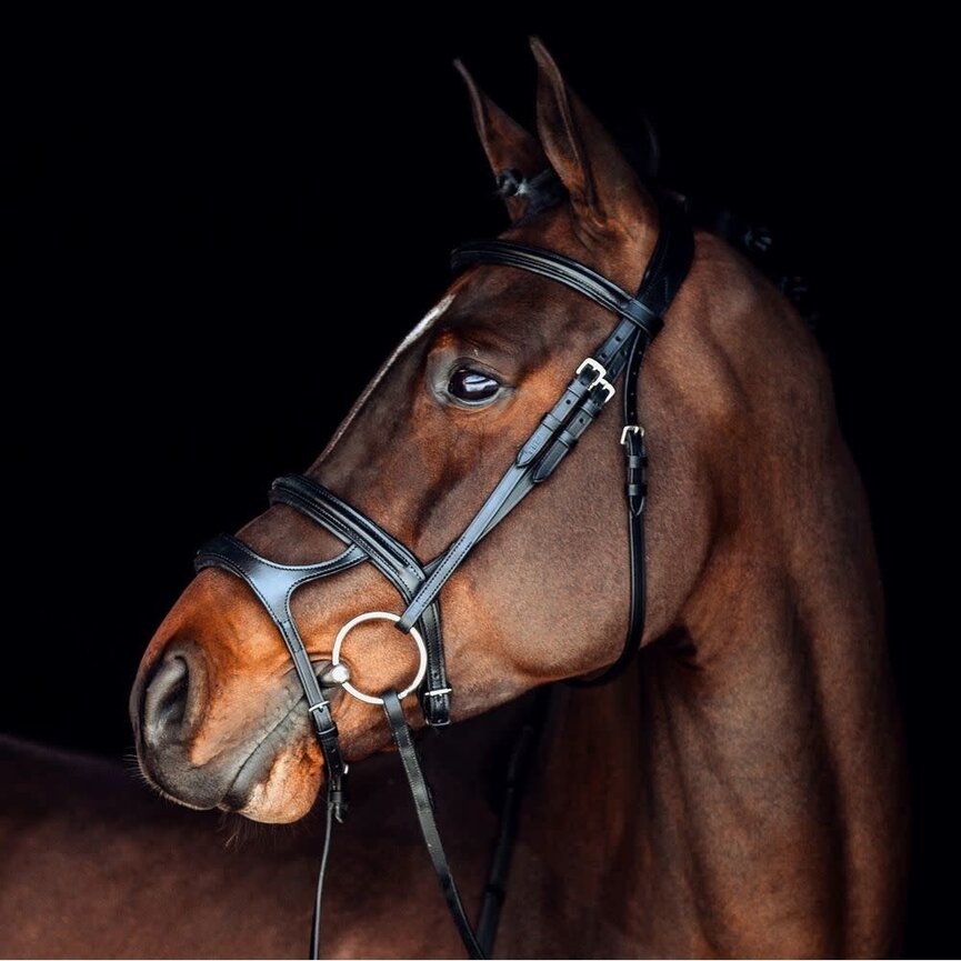 PERTH SOFT LINED ANATOMICAL BRIDLE