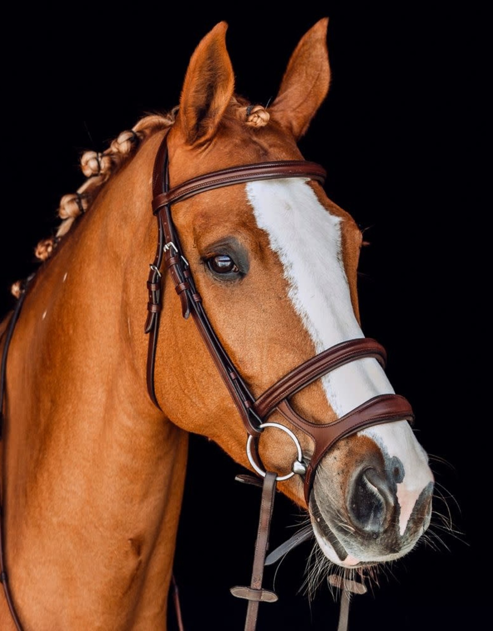 HORZE PERTH SOFT LINED ANATOMICAL BRIDLE