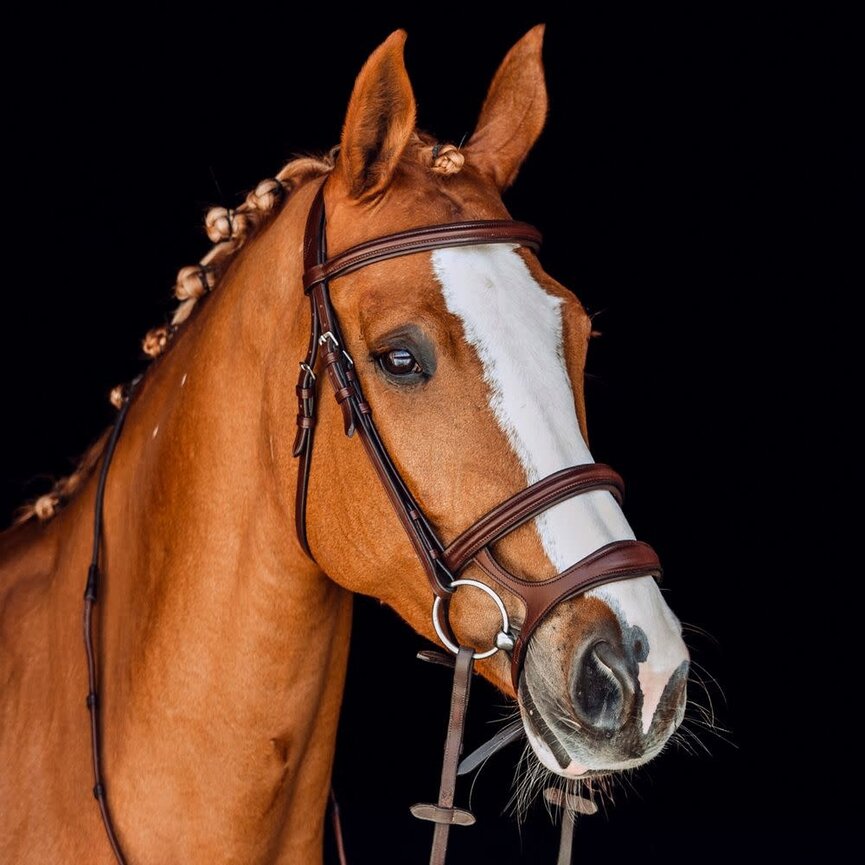 PERTH SOFT LINED ANATOMICAL BRIDLE