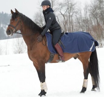 ジャケット・アウター DIGAWEL/HORSE BLANKET VEST ジャケット・アウター DIGAWEL/HORSE BLANKET VEST Horse