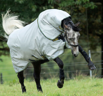 BLANKETS - Equine Essentials Tack & Laundry Services