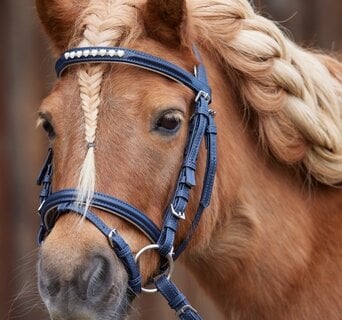 KIDS NEWBURY SUNSHIRT - Equine Essentials Tack & Laundry Services