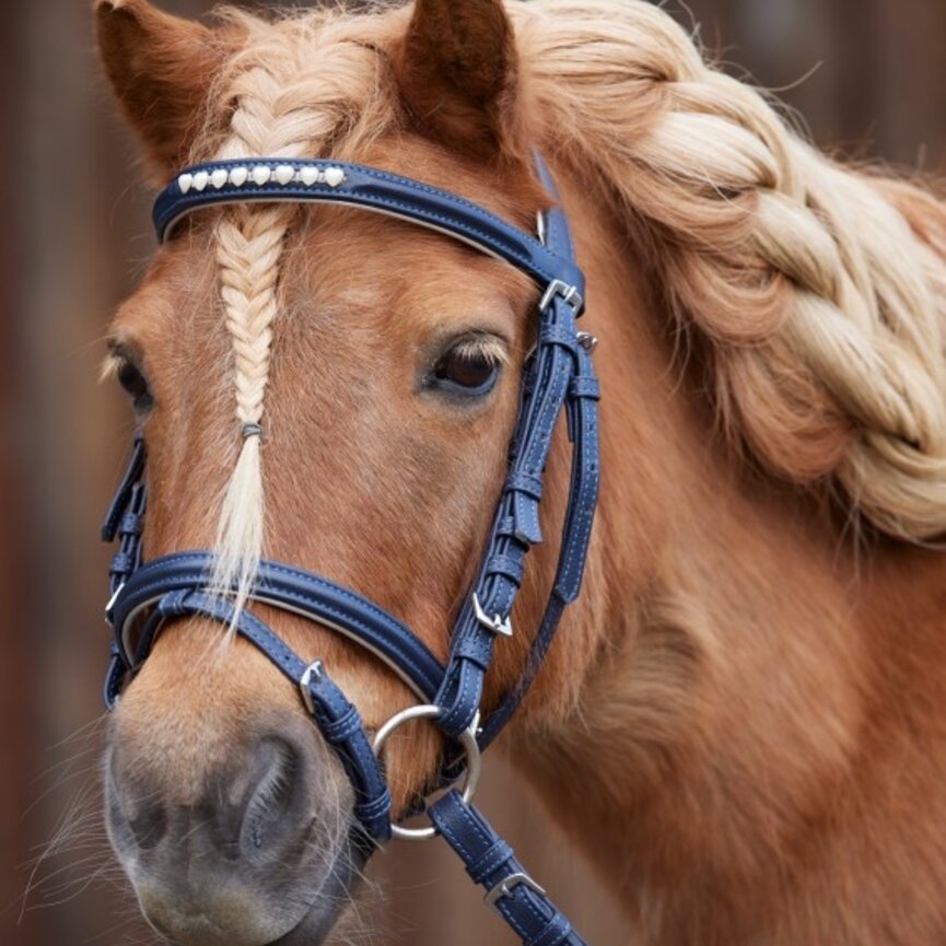 LUCKY HEARTS SNAFFLE BRIDLE - PONY