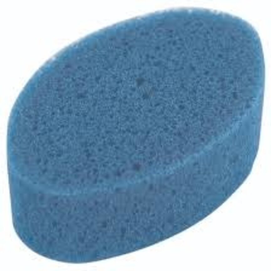 OVAL SPONGE