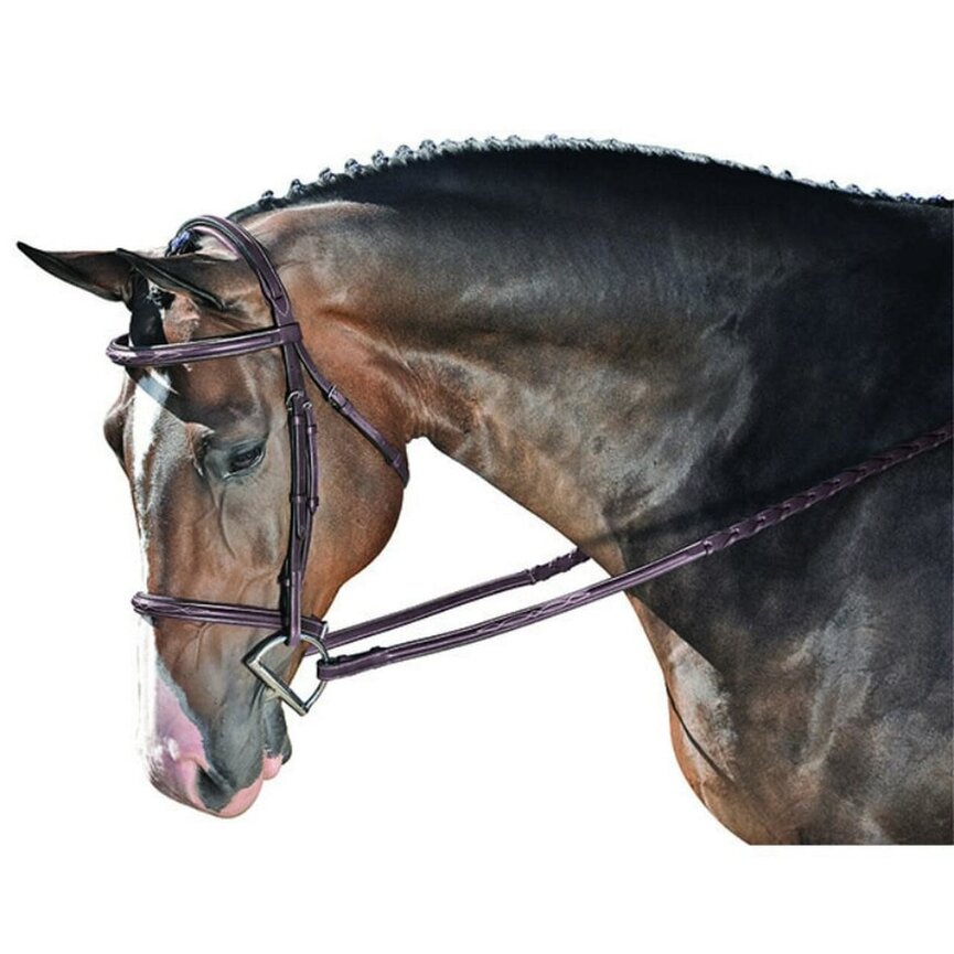 ANNICE HUNTER BRIDLE