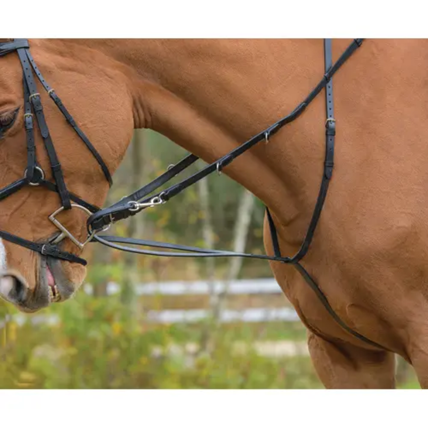 GERMAN MARTINGALE