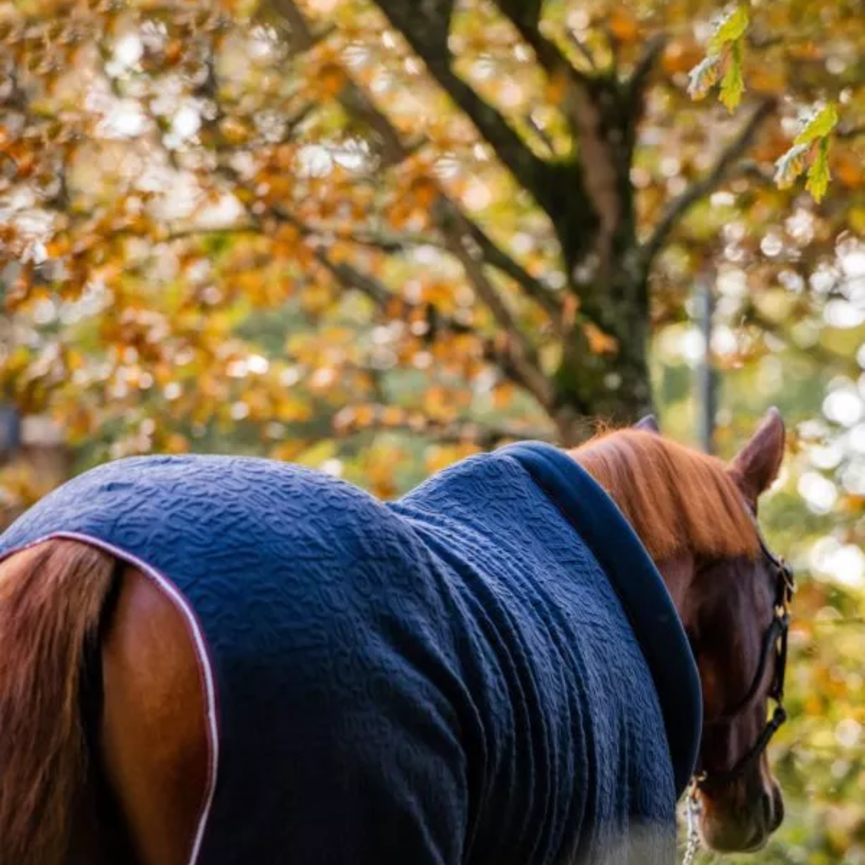 EMBOSSED COZY NECK FLEECE COOLER