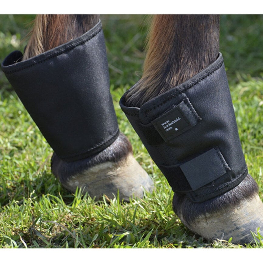 FETLOCK SHIELD - ONE SIZE