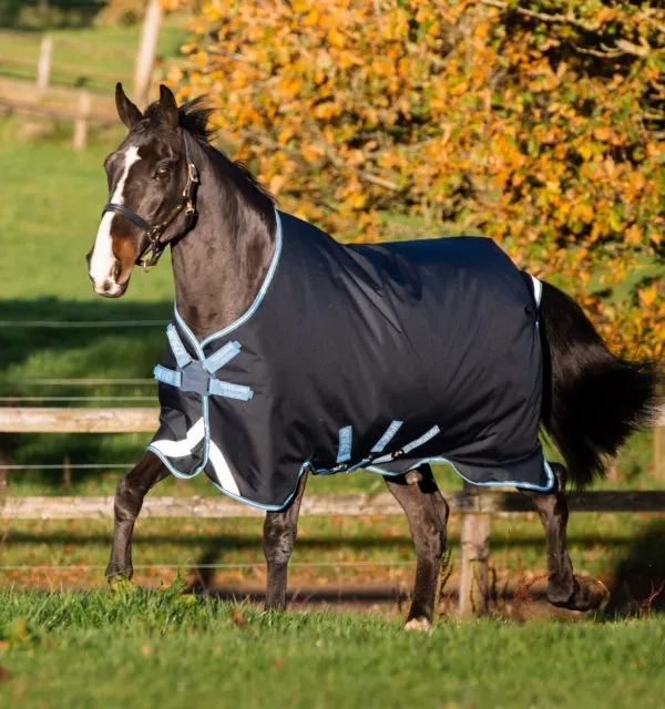 NEW AMIGO BRAVO 12 PLUS BUNDLE (DISC FRONT) Equine Essentials Tack